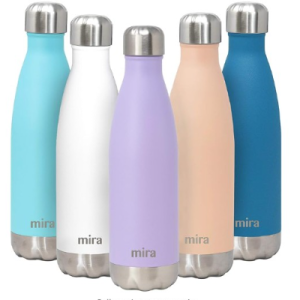 Stainless Steel Bottle 17oz