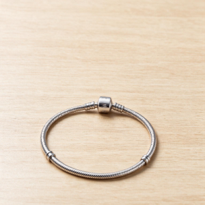 Pandora Bracelet